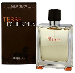Hermès Terre D'Hermès toaletná voda pánska 200 ml