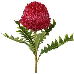 Umelá Rastlina Protea, V: 68cm